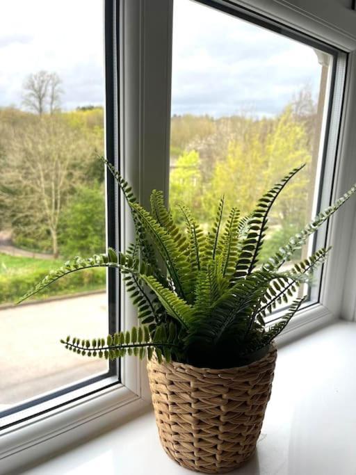 Olive Holiday Cottage Matlock Matlock  Luaran gambar